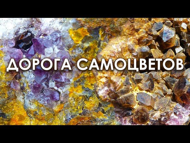 Дорога самоцветов. Аметисты под ногами