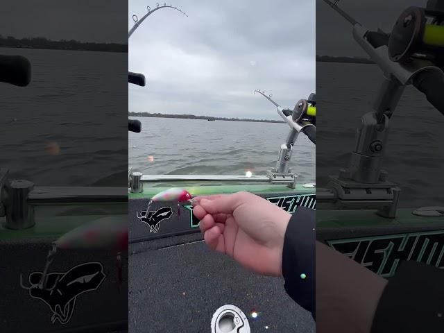 Vexan Fishing Rattlin Wasp   #vexanfishing #cootslures #letsgofishing #fishing #lures