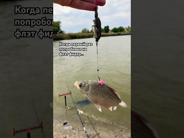 Жиза?! #рыбалка #funny #fish #fishing #рыба #карась #рыбалка