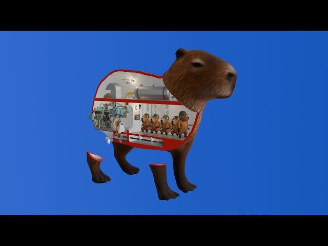 How a capybara works