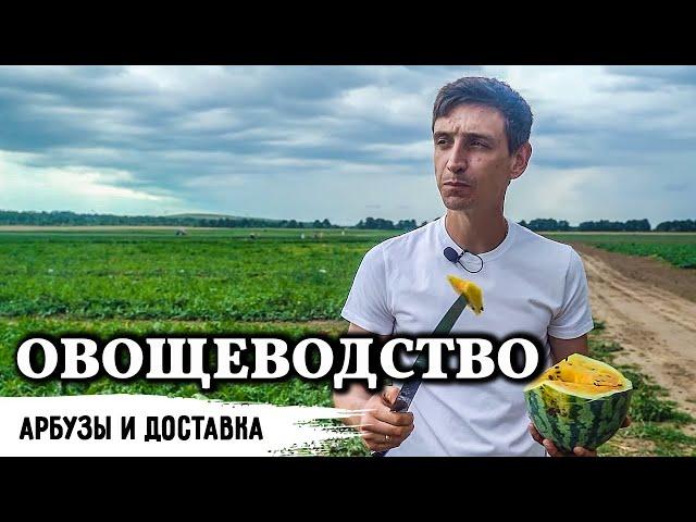 Овощеводство // 150 гектар - самая большая и подробная экскурсия