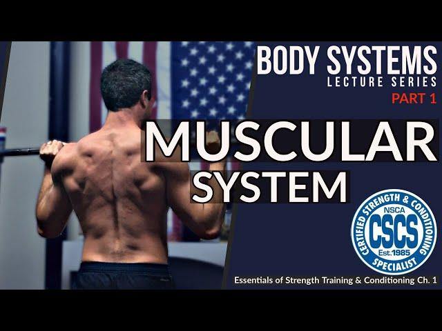 Structure & Function of Muscle | CSCS Chapter 1