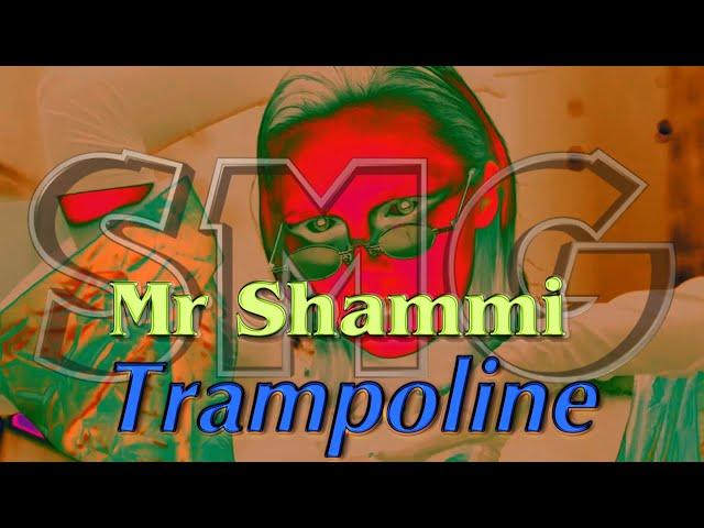 Mr Shammi  - Trampoline (Martik C - Rmx)