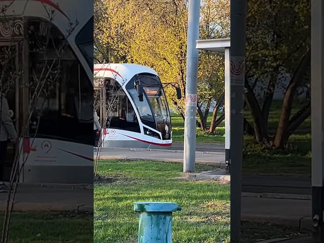 Moscow public transport. tram