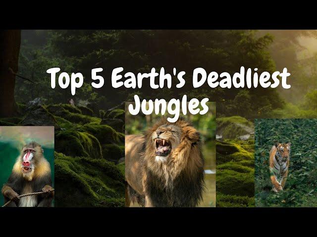 Exploring Top 5 Earth's Deadliest Jungles: Tsingy & Crooked Forests Unveiled