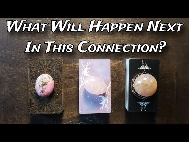  What Will Happen Next In This Connection? Pick A Card Love Reading