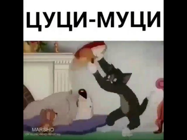 Цуци муци