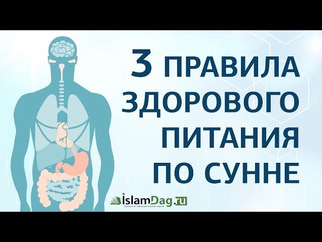 3 правила здорового питания по сунне