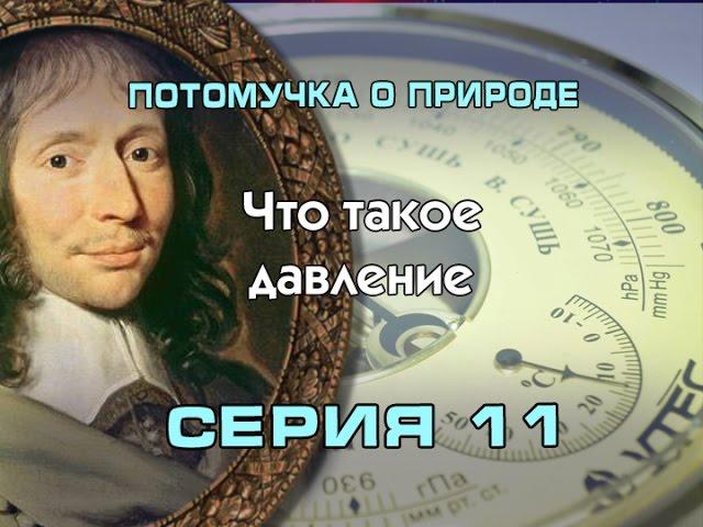 Потомучка о природе 11. Что такое давление