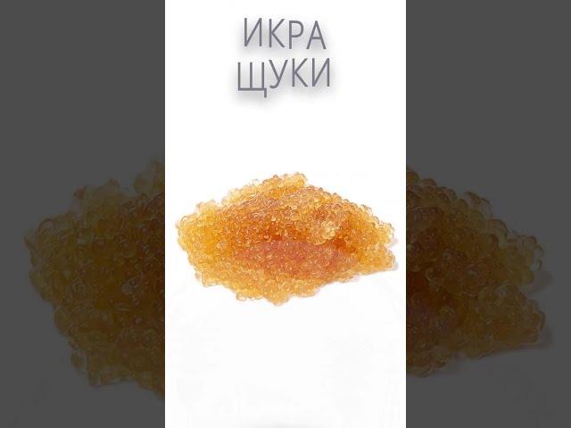 ИКРА ЩУКИ / Польза и Вред