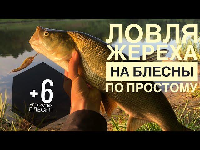 ЛОВЛЯ ЖЕРЕХА НА БЛЕСНУ | УЛОВИСТЫЕ ПРОВОДКИ И БЛЁСНЫ