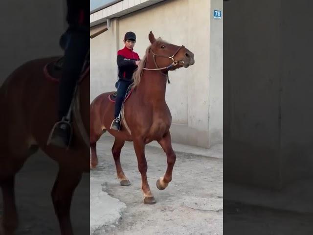 Асп ба фуруш бо хамин номер мурочиат кунад +992929661666 той 2 сола