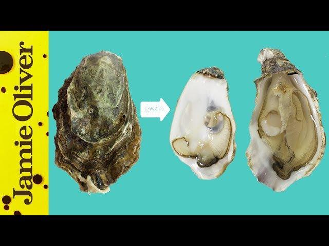 How To Open Oysters | 1 Minute Tips | Bart’s Fish Tales