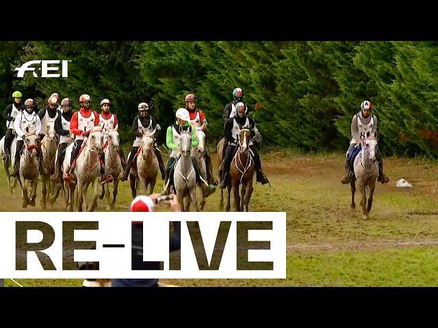 RE-LIVE | FEI Endurance World Championships 2024 Monpazier (FRA)