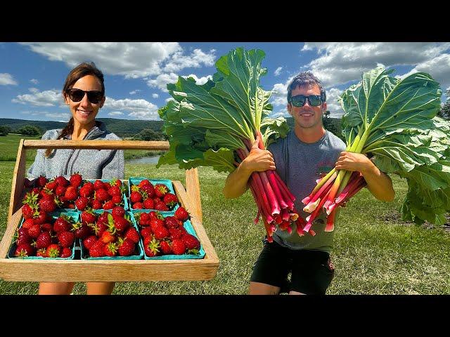 My Girlfriends Biggest Harvest!