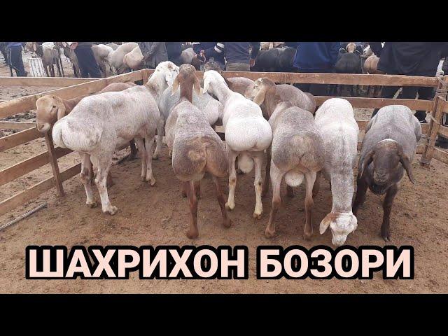 КУЙ БОЗОР 2021,КУЙ БОЗОРИ,ШАХРИХОН КУЙ БОЗОРИ 2021,QÒY BOZORI,QÒY BOZOR 2021,SHAXRIHON QÒY BOZORI