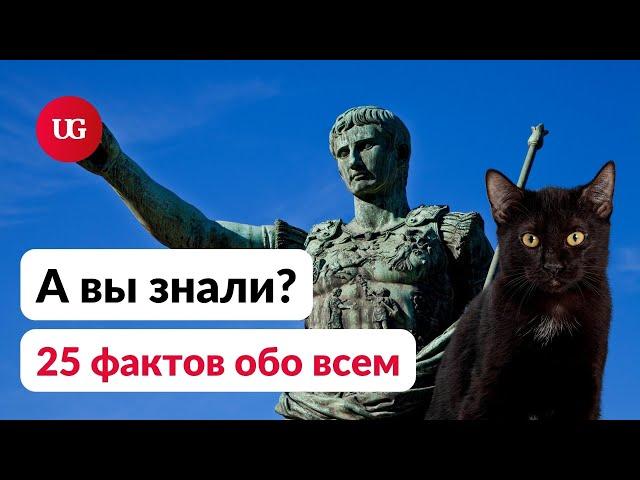 25 кратких фактов обо всем – а вы знали?