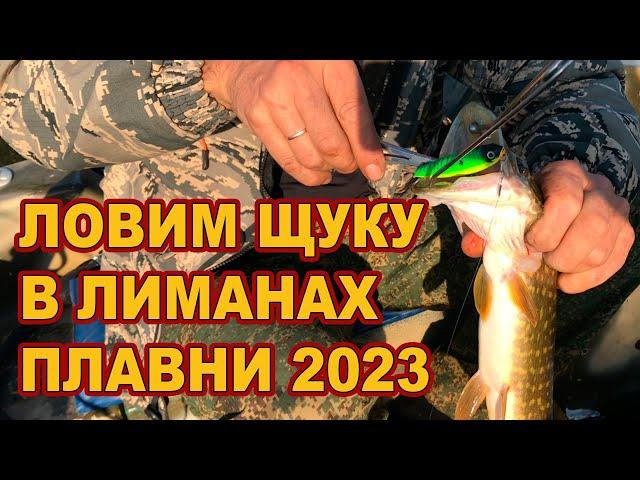 ЛОВИМ ЩУКУ В ЛИМАНАХ // Плавни 2023  /// Рыбалка на Кубани 2023 /// Выпуск № 36