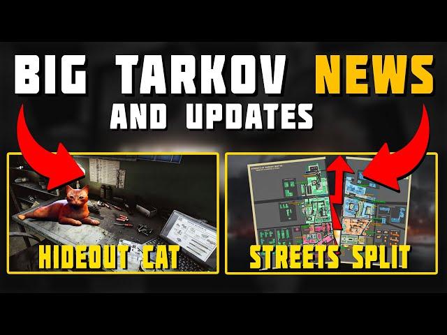 Massive Streets Change, Hideout Cat,  & More! - Tarkov News