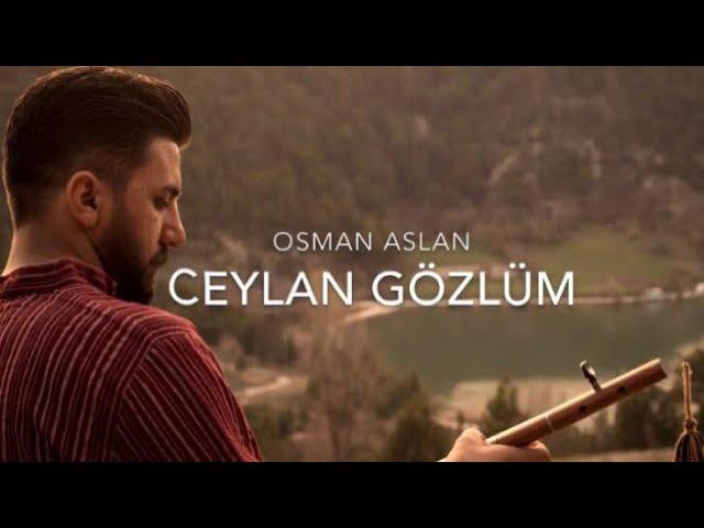 Ceylan Gözlüm | OSMAN ASLAN