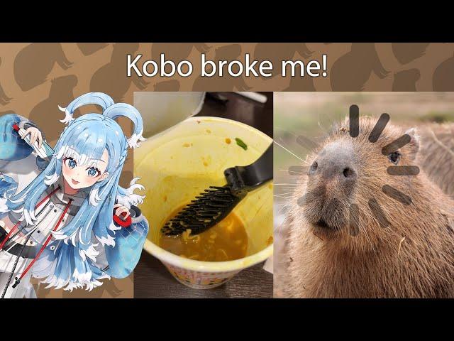 Kobo broke Capybara