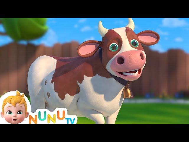 The Cow song + More Nursery Rhymes & kids Songs | NuNu Tv