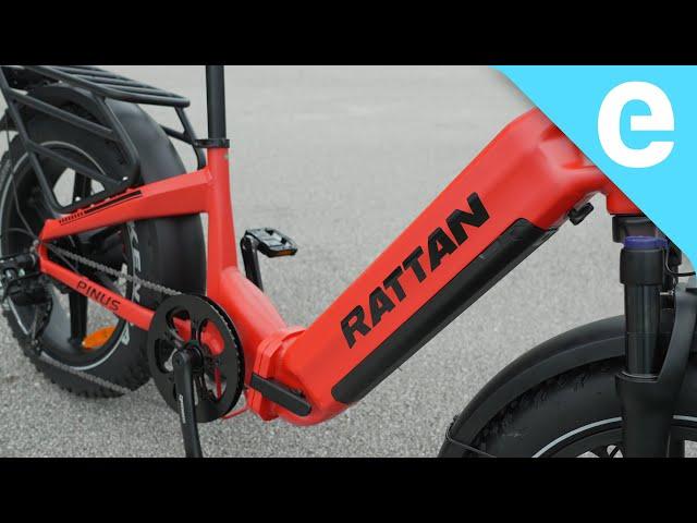 Rattan Pinus review: A thicc e-bike for pleasure riding!