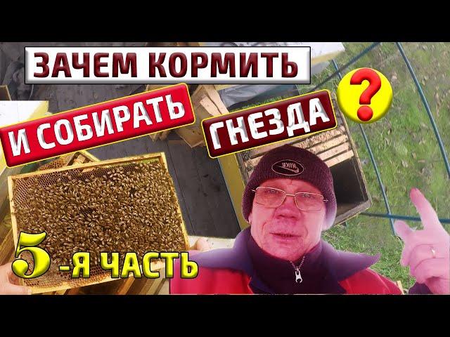 Пасека в ноябре Сборка гнезда пчел в зиму Зачем собирать гнезда #5