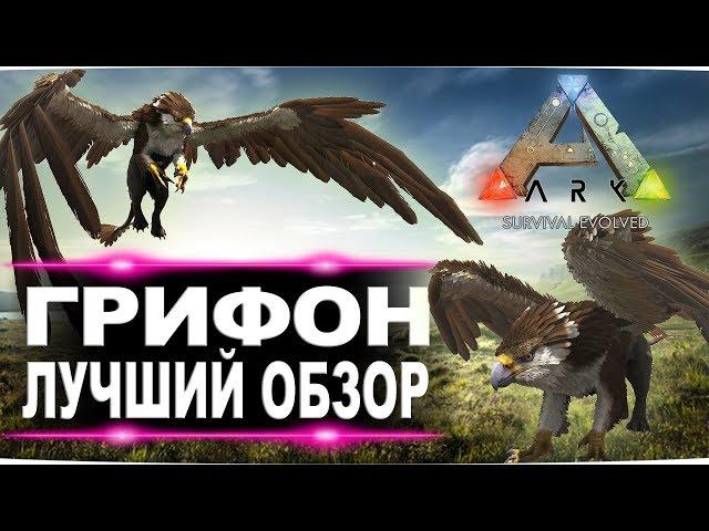 Грифон (Griffin) в АРК. Лучший обзор: приручение и способности в ark