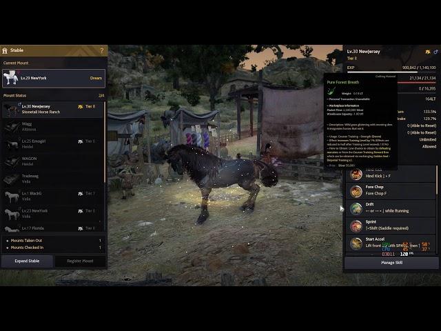 11 Straight Attempts DREAM HORSE - Black Desert Online SEA