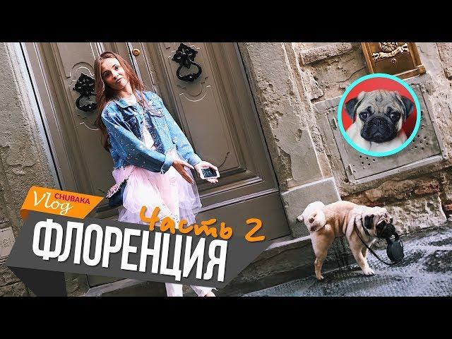 Флоренция / Парфюмер / Чубака проспал воришек / Chubaka Vlog!