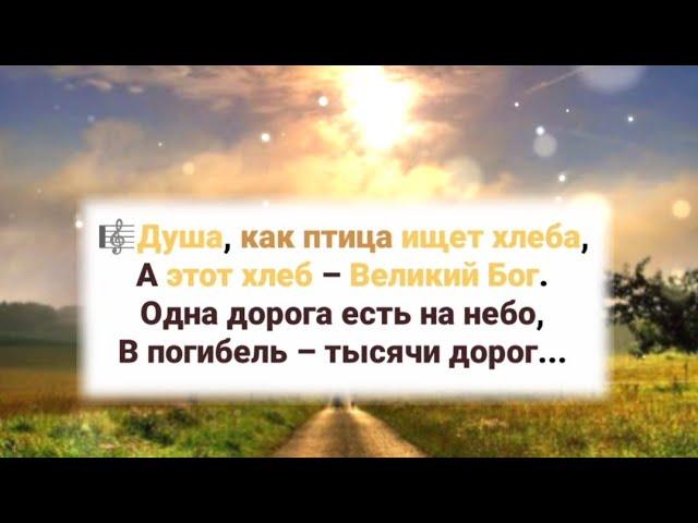 Душа, как птица ищет хлеба, А этот хлеб – Великий Бог...#ХристианскиеПесни#НебеснаяОтчизна#