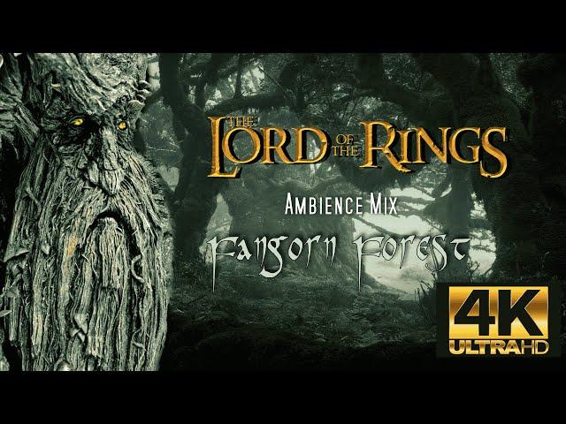 The Fangorn Forest - LORD OF THE RINGS - Ambience