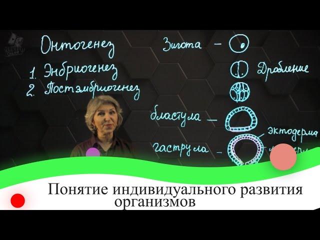 Понятие индивидуального развития организмов. 7 класс.