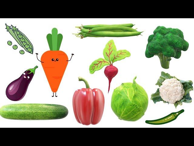 Vegetables Names - सब्जियों के नाम - Vegetables in Hindi and English