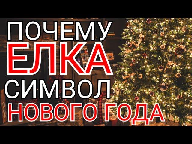 Почему ёлка символ нового года? Как появилась традиция?