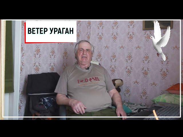 Голуби Геннадий Мацинов ( ветер ураган) станица Кагальницкая!