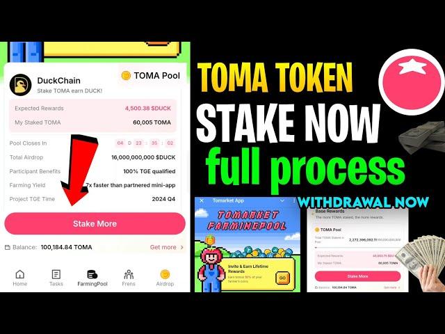 Tomarket Farmingpool Stake DuckChain | $TOMA to $DUCK Withdrawal Process | TOMA Pool Airdrop Details