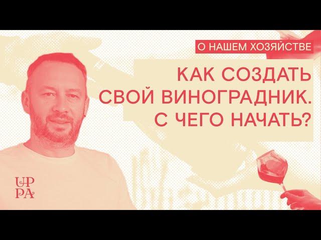 Как создать свой виноградник. С чего начать?