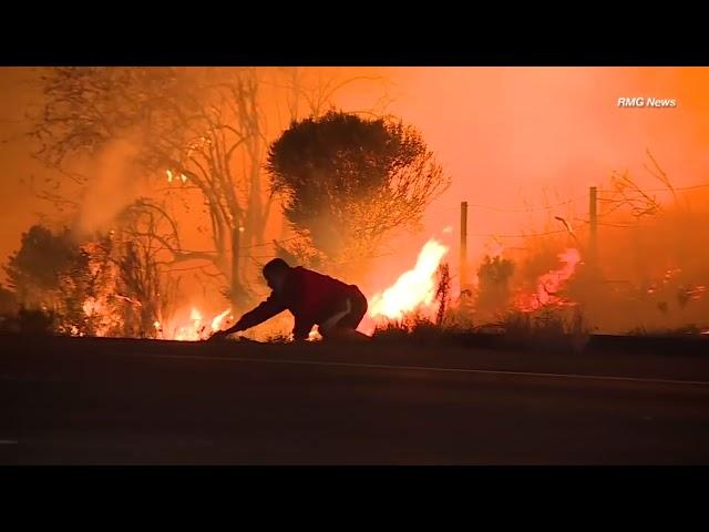 Man risks life to save wild rabbit