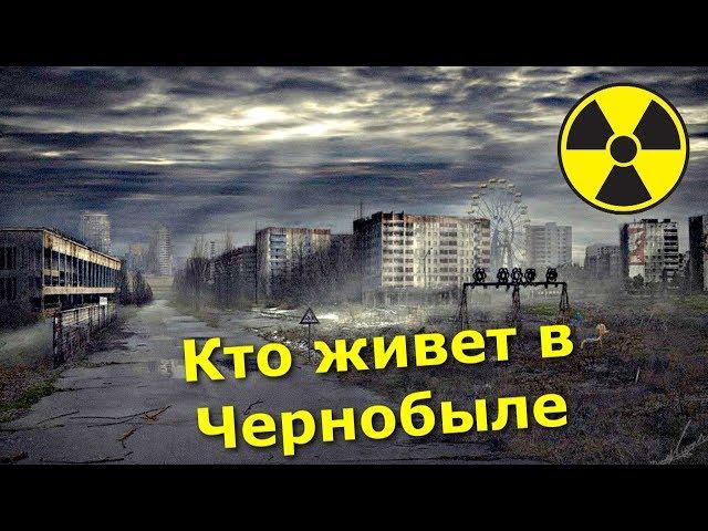 Кто живёт в Чернобыльской Зоне?  Как помочь отшельникам самосёлам в радиоактивном лесу