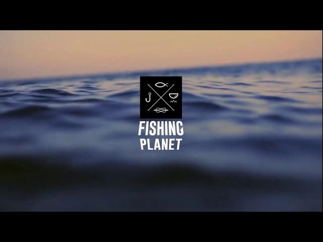 Fishing Planet 3.1.1-Уникальный обыкновенный сом на спининг/Ахтуба