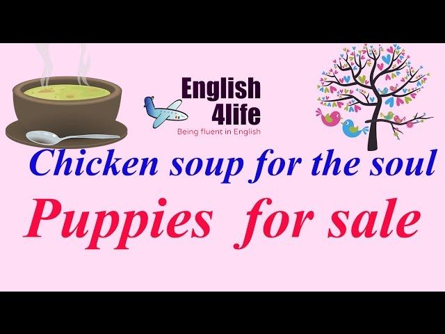 English4life - Learn English through Chiken soup for the soul | Puppies  for sale