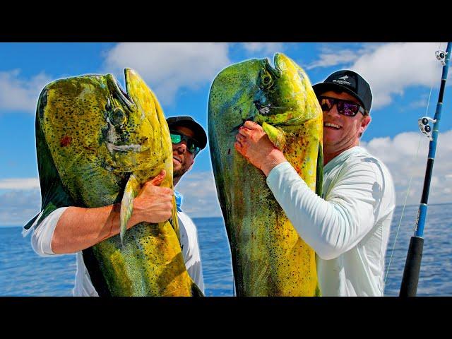 MASSIVE Mahi in Panama - Deep Sea Fishing