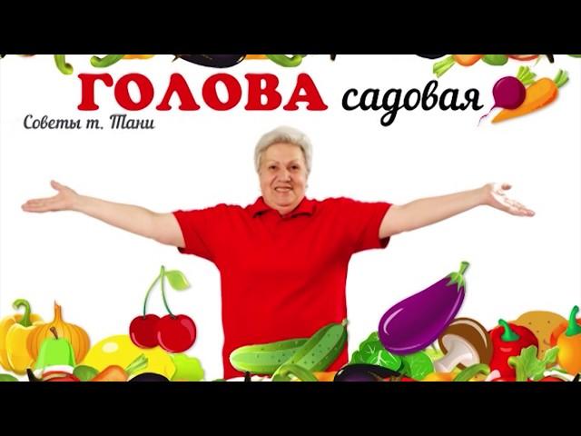 Голова садовая - Полный обзор хосты