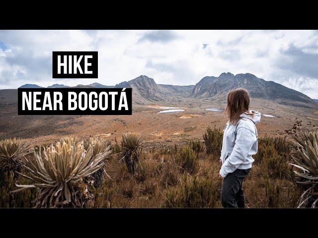 Sumapaz Páramo Bogotá: World's Largest Water Factory