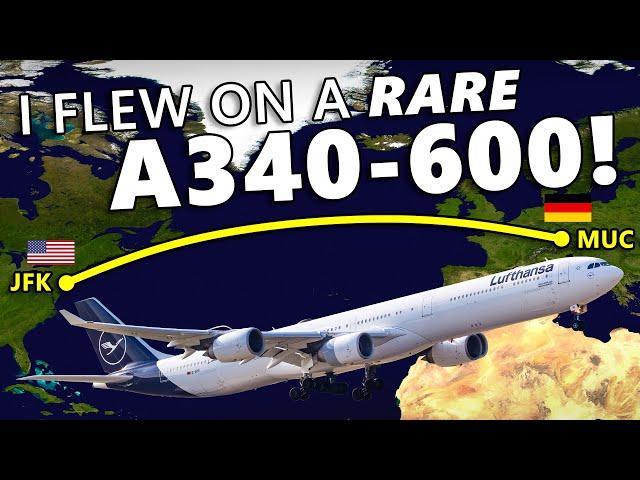 I Flew on a RARE Airbus A340-600!