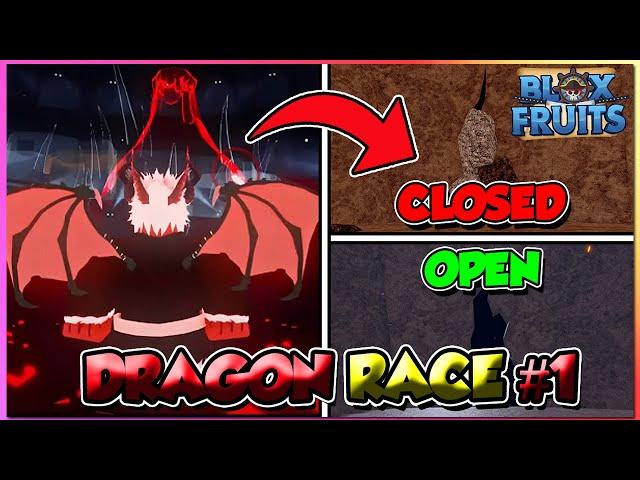 How To Get Dragon Race Part 1 + Full Guide In Blox Fruits Update 24