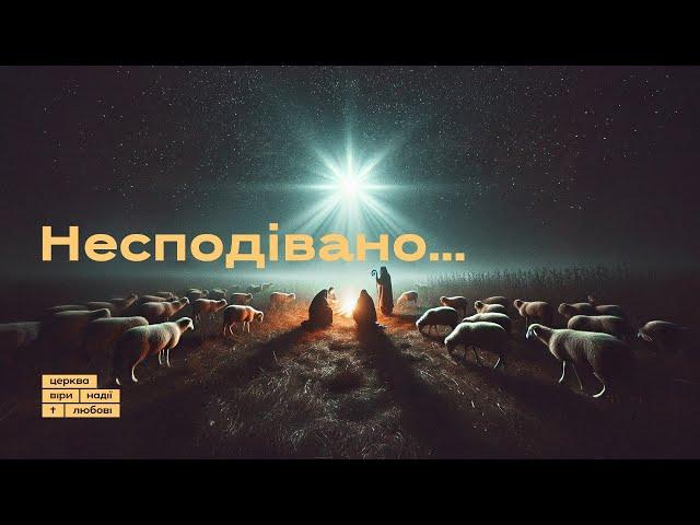 Несподівано... | Микола Михалюк | 29.12.24