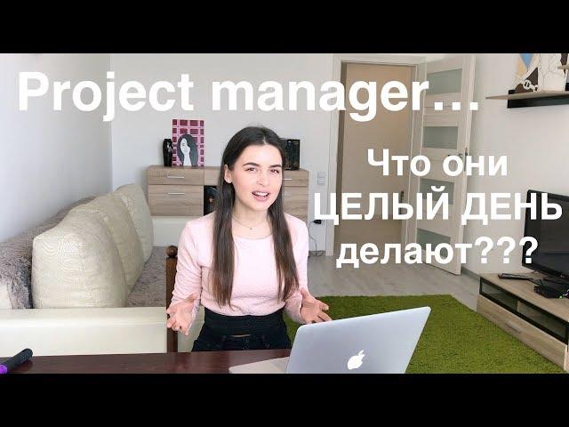 PM2. Рабочий день проджект менеджера // Project Manager для новичков